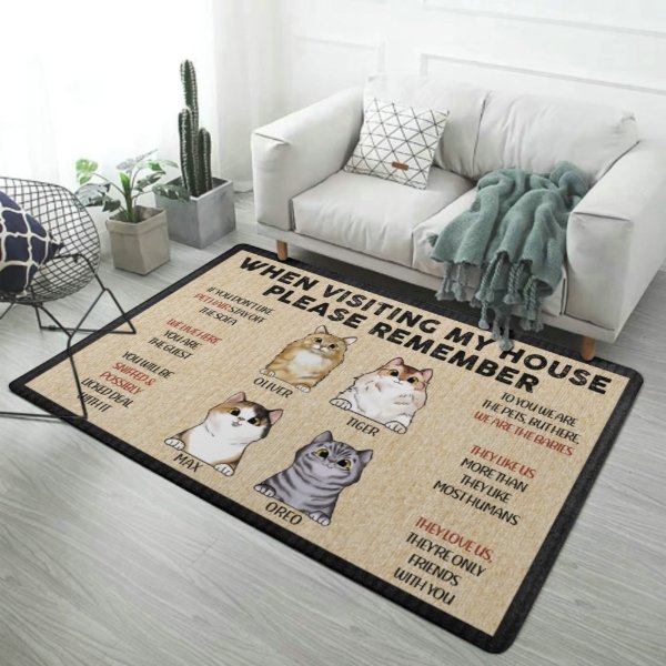 http://olesa.com/cdn/shop/products/pets-rules-when-visiting-our-house-cats-and-dogs-personalized-decorative-mat-doormat-420523.jpg?v=1679583293