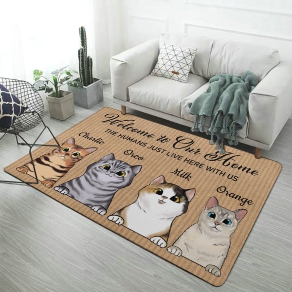 http://olesa.com/cdn/shop/products/welcome-to-my-home-funny-personalized-cat-decorative-mat-doormat-363166.jpg?v=1679583296