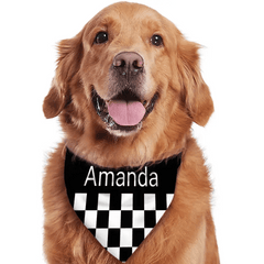 Custom Cats and Dogs Name Triangle Bib Bandana, Gift For Dogs - OLESA