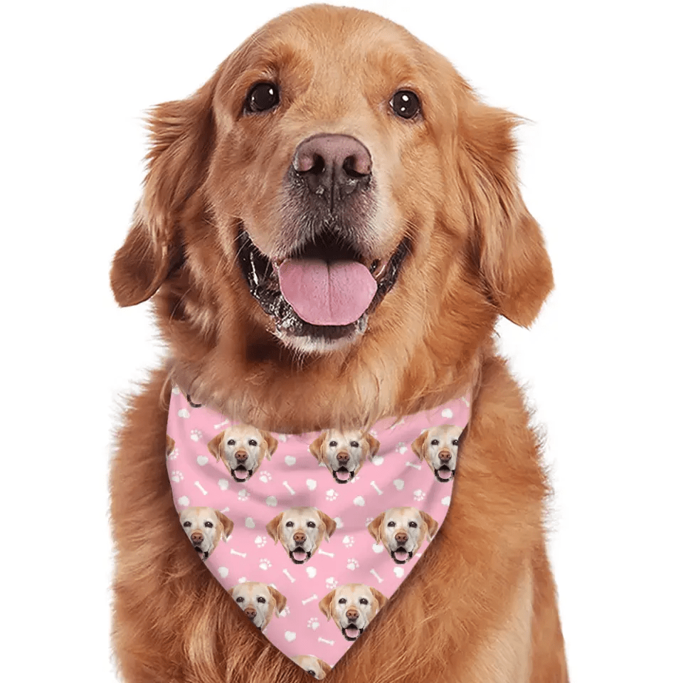 Personalized with Photo Summer, Bandanas for Dogs Cats, Custom Puppy Pet Triangle Bibs Kerchief - OLESA