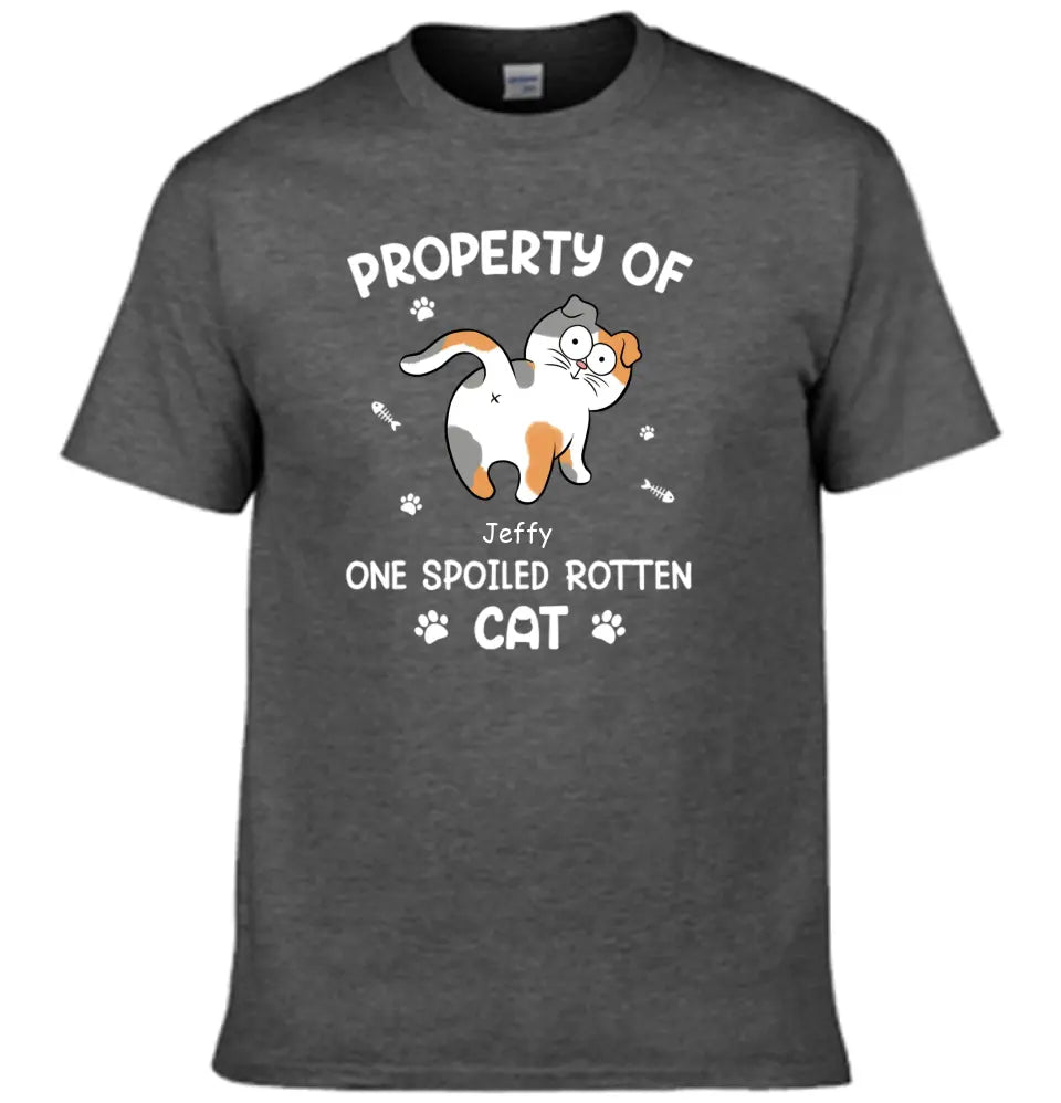 Spoiled Rotten Cats - Cat Personalized Custom T-shirt - Gift For Pet Owners, Pet Lovers - OLESA