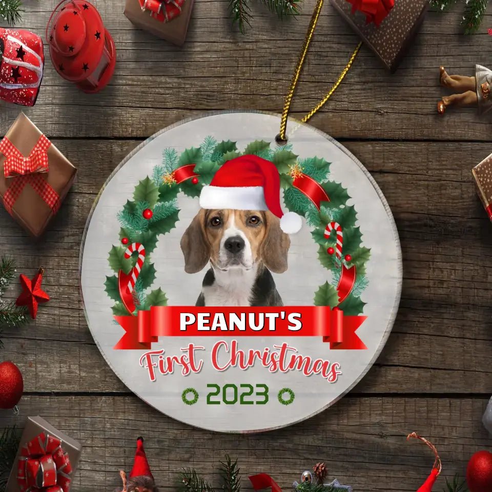 Custom Photo Pawsitively Excited For The First Christmas - Dog & Cat Personalized Custom Ornament - OLESA