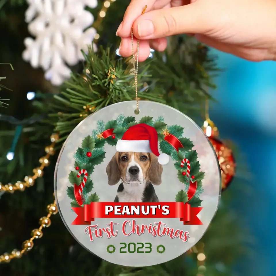 Custom Photo Pawsitively Excited For The First Christmas - Dog & Cat Personalized Custom Ornament - OLESA