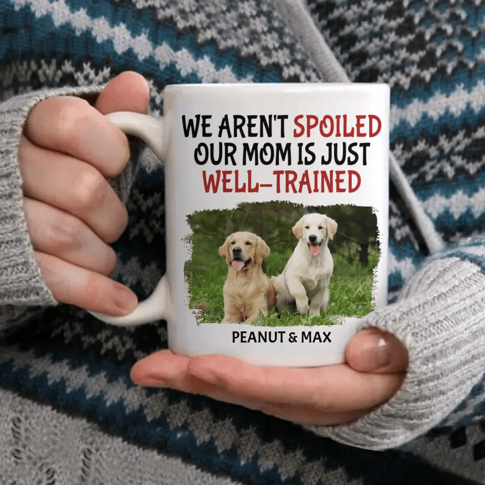 Personalized Custom Coffee Mug For Pet Owner - Well Trained Mom Photo - OLESA