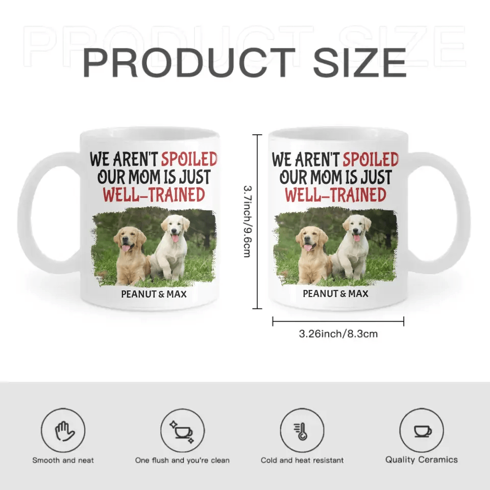 Personalized Custom Coffee Mug For Pet Owner - Well Trained Mom Photo - OLESA