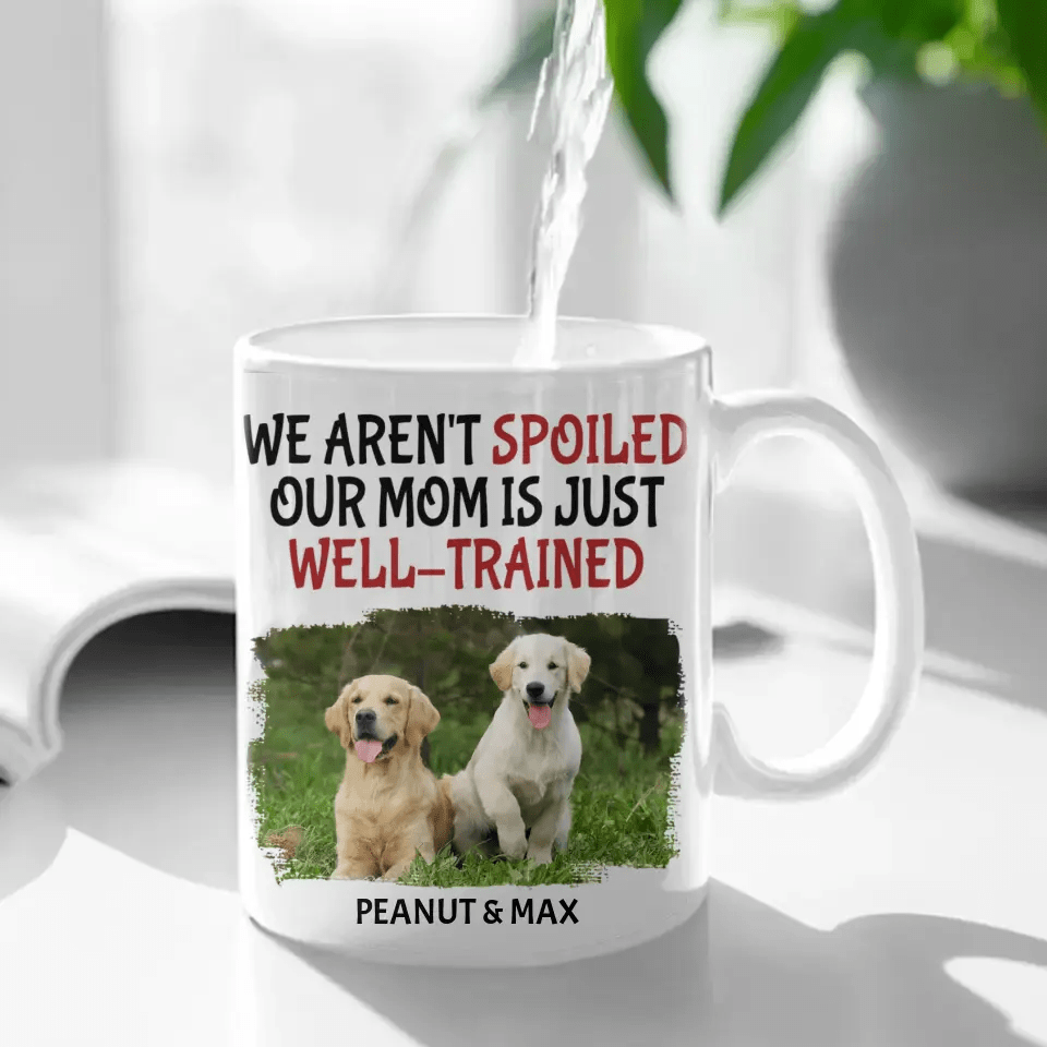 Personalized Custom Coffee Mug For Pet Owner - Well Trained Mom Photo - OLESA