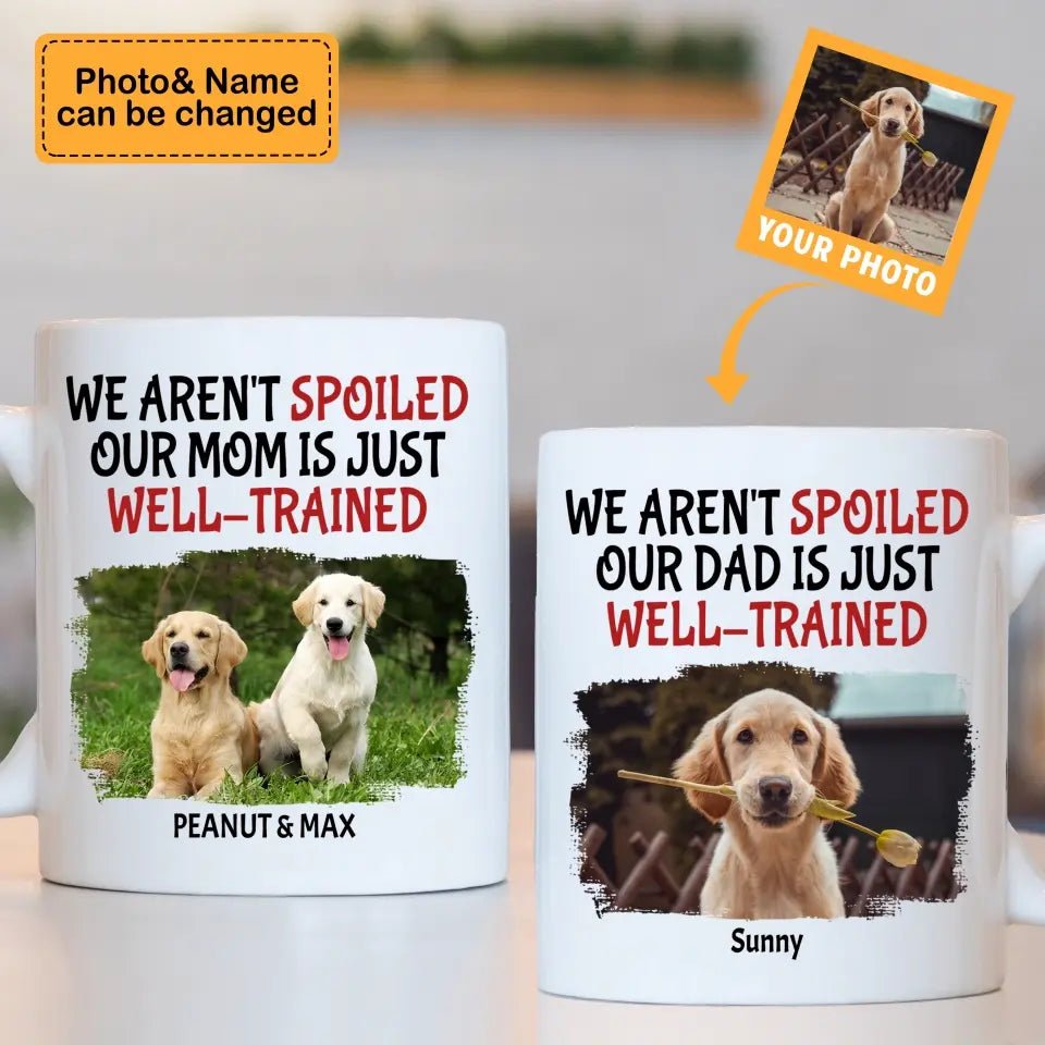 Personalized Custom Coffee Mug For Pet Owner - Well Trained Mom Photo - OLESA