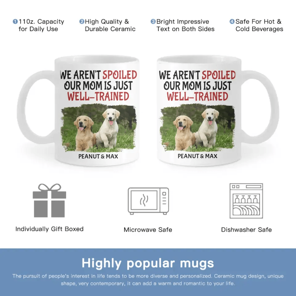 Personalized Custom Coffee Mug For Pet Owner - Well Trained Mom Photo - OLESA