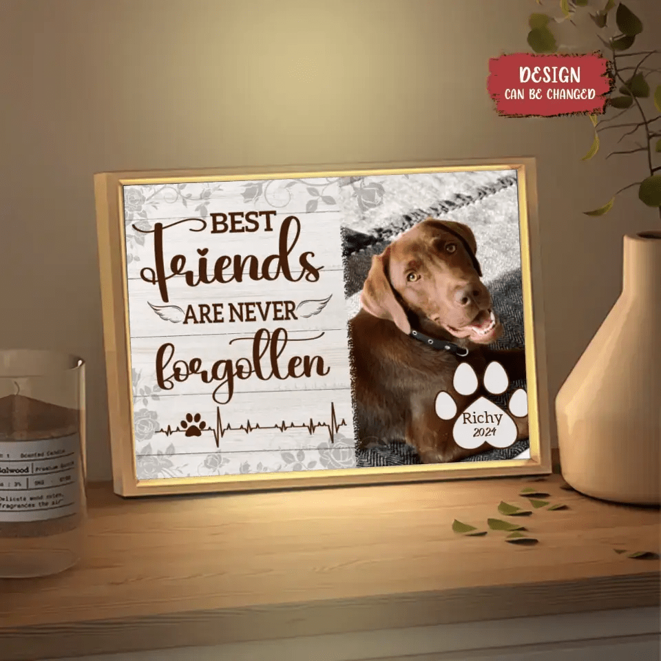 Personalized Custom Picture Frame Light Box - Gift For Dog Lovers Good Friends Are Never Forgotten - OLESA