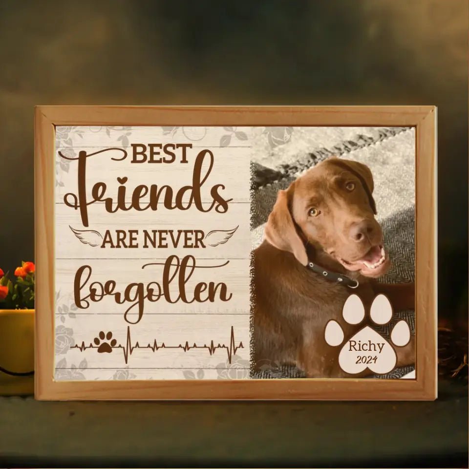 Personalized Custom Picture Frame Light Box - Gift For Dog Lovers Good Friends Are Never Forgotten - OLESA