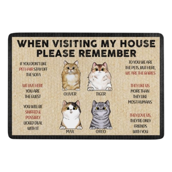 https://olesa.com/cdn/shop/products/pets-rules-when-visiting-our-house-cats-and-dogs-personalized-decorative-mat-doormat-351575.jpg?v=1679583293
